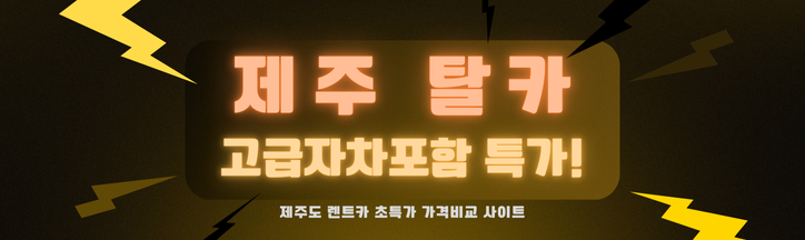 탈카 고급자차포함 특가할인